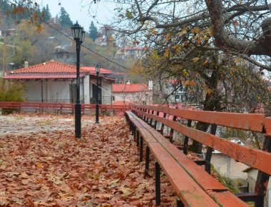 Σοκ στη Λέσβο: Bρέθηκαν κουφάρια από γάτες και αδέσποτους σκύλους - Κάτοικοι καταγγέλλουν συγχωριανό: «Τα έφαγε...»